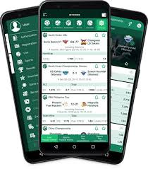Everything You Need to Know About Betwinner Login 3