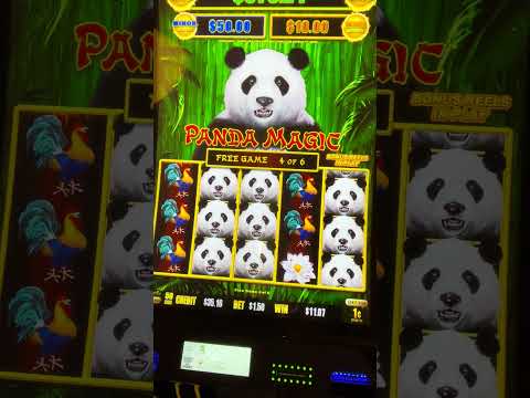 Discover the Thrilling World of Spinpanda A New Era in Online Gaming Discover the Thrilling World of Spinpanda A New Era in Online Gaming