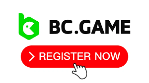 Discover the Excitement of Casino BC Stavka