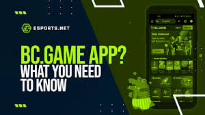 Memahami BC Game Panduan Lengkap untuk Para Pemain